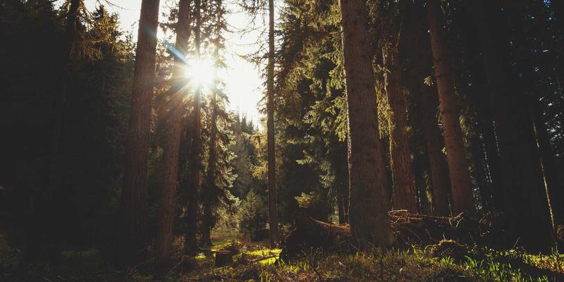 2024年企业通讯与在线客服系统深度评测：主流客服软件功能对比与选型指南