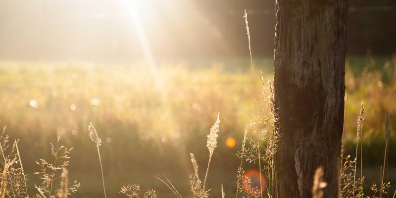 企业IM与OA系统深度集成实战：单点登录与消息互通方案解析