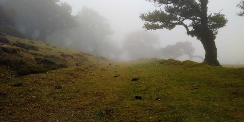 即时通讯68：实时聊天技术的演进与未来趋势