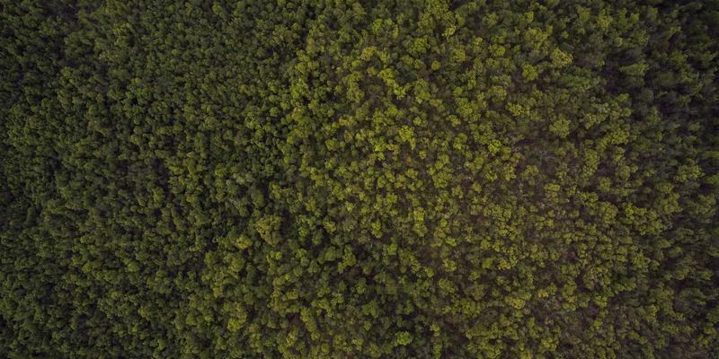 即时通讯71时代：在线客服系统如何重塑企业通讯与实时聊天新范式