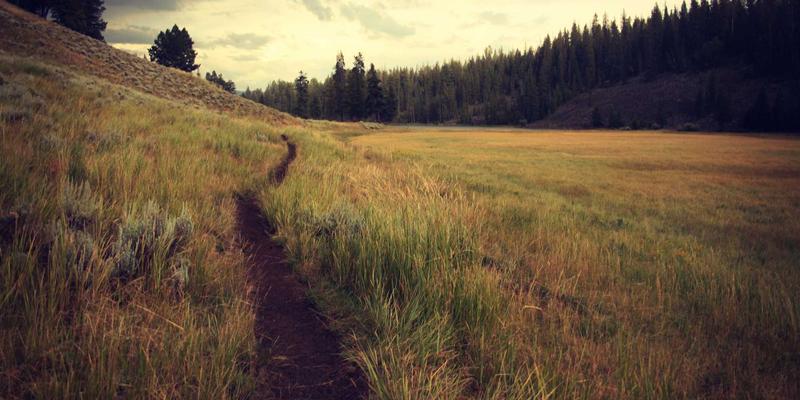 即时通讯怎么用?从实时聊天到在线客服系统的全方位指南