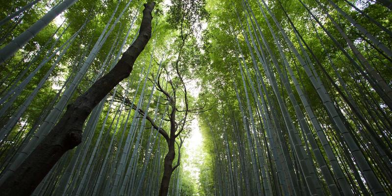 客服软件与IM系统如何成为企业中台？即时通讯集成业务系统的最佳实践